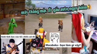 【Vietsub】tlk t0k PUBG China | Khi vào game chỉ để tấu hài | MACABAKA và gấu nhỏ | #126