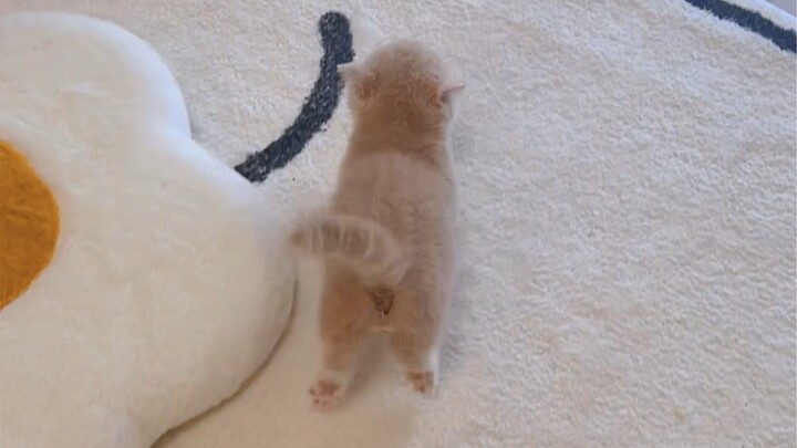 Always looking for ways to boost my own value.