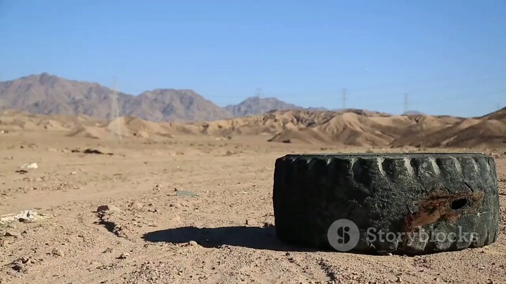 best survival in the desert
