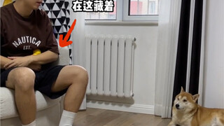 Khi tôi lén lút dùng súng phun nước bắn vào con chó