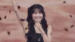 Red Velvet 红色味道 家族演唱会舞台