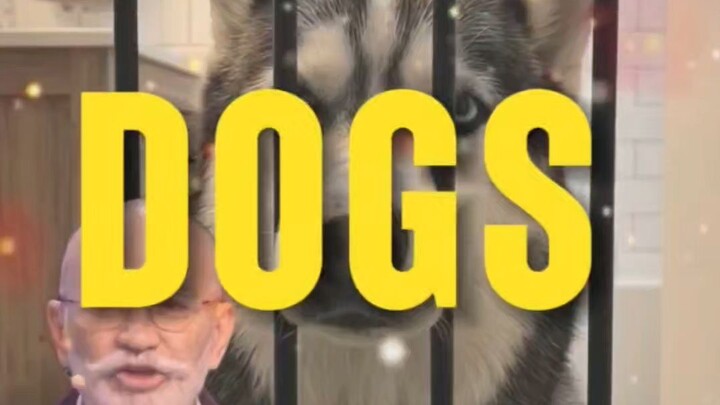 #shorts #trending# dogs