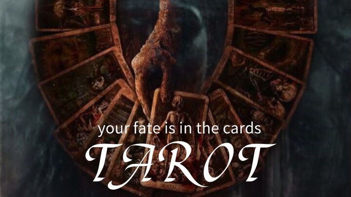 YOUR FATE IS IN THE CARDS (2024)