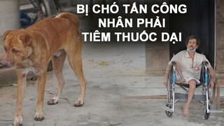 May Mắn Cho Nhân Gà Là Con Chó Cắn Mình Nó Vẫn Còn Sống, Chó Chết Thì Mình Chết