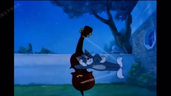 Tom & Jerry x anime ❤️