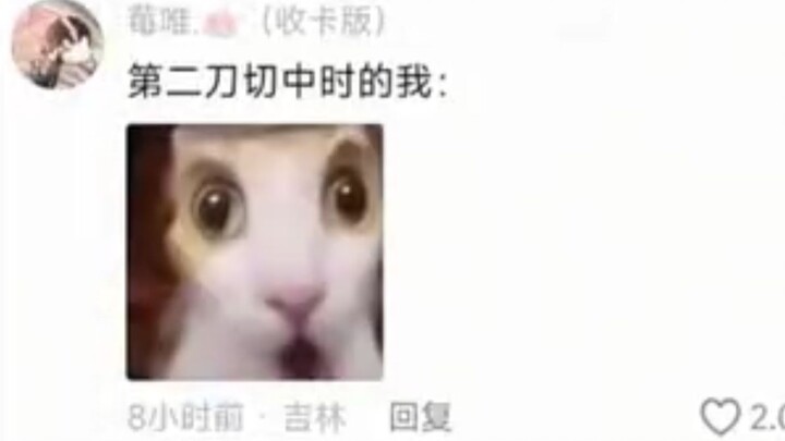 Khoảnh khắc nhát dao thứ hai trúng mục tiêu: