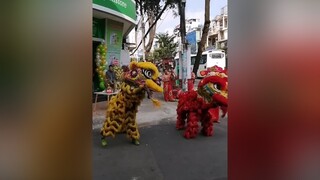 mualan liondance mualankhaitruong