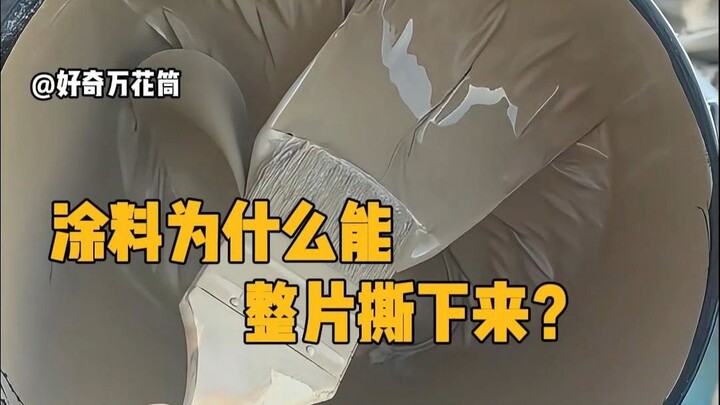 Why can paint be peeled off in whole sheets? #SciencePopularization #StressRelief #Paint #LearnSomet