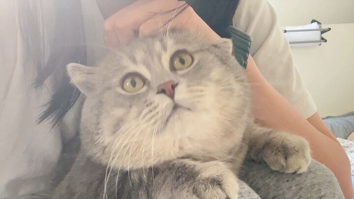 I feel like he’s not as demented as he used to be.