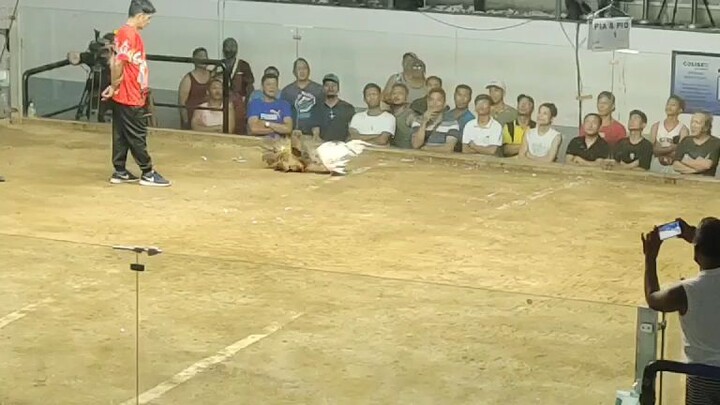 ano masasabi nyo mga idol sa tari ng puti ??