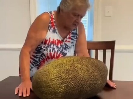 Guangxi folks cross borders to treat an American grandma—she first scolds them for the jackfruit, th