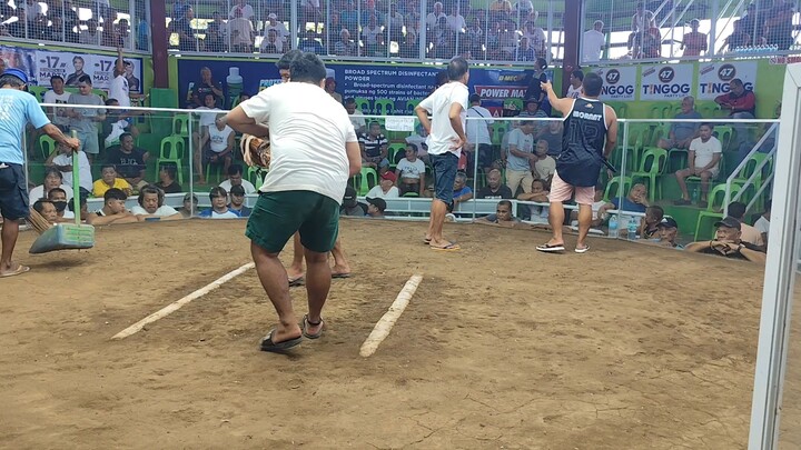 pakz ang tigasin na bulik 5x winner  tacloban cockpit arena