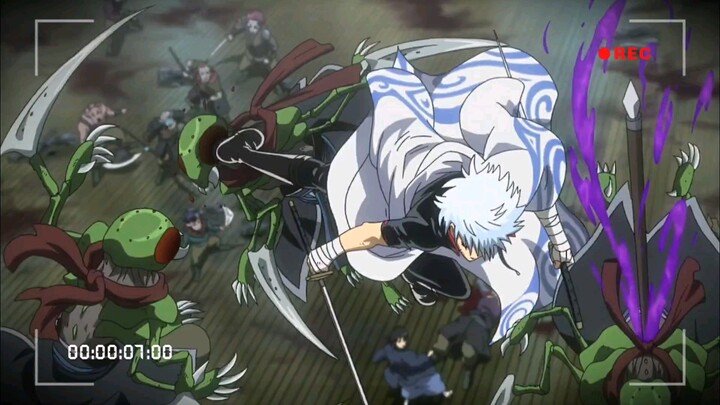 fight