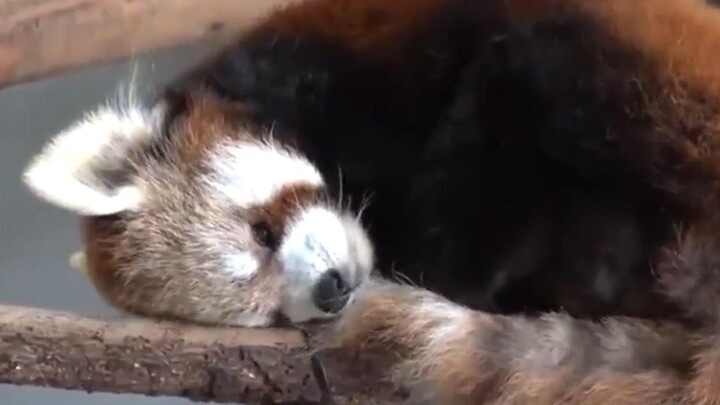 [Daily Awkward Moment] The feeling of facing multiple-choice questions in an exam—so real! It couldn