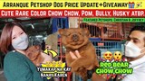 ARRANQUE PETSHOP DOG PRICE UPDATE FEB. 2 | RED CHOW CHOW, BEAGLE, HUSKY, BULLY, POMERANIAN, ATBP.