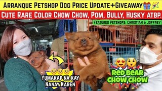 ARRANQUE PETSHOP DOG PRICE UPDATE FEB. 2 | RED CHOW CHOW, BEAGLE, HUSKY, BULLY, POMERANIAN, ATBP.