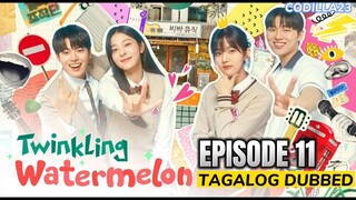 TWINKLING WATERMELON EPISODE 11 TAGALOG