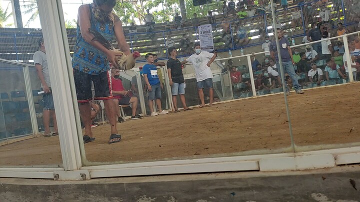 HBD-NATHANIEL (last fyt)