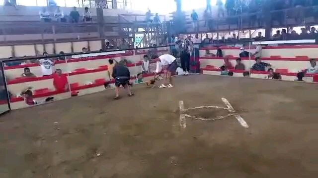 J'R GF 5cock DRAw tayo ang tibay ng bulik natin nawalan ng malay ung kalaban nagising sa labas na😄