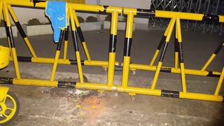 Shaolin Kung Fu came back to the world, but I didn’t expect it to be used to get rid of harmful rats