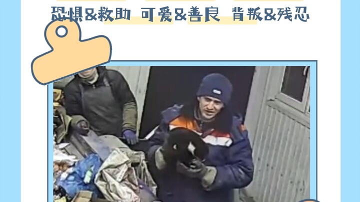 An angel before the garbage disposal, bringing a ray of light to the kitten amid the darkness and ro