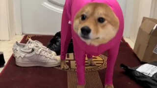 Fall in love with Brother—no need for further words