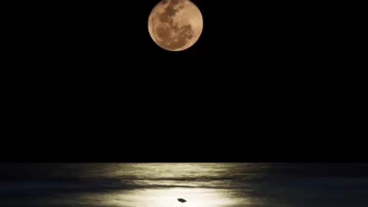 the moon is beautiful 😍❤️