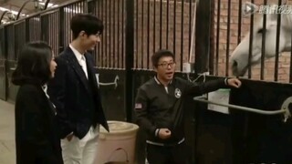 【肖战】没有人可以错过这个视频！呆桃是什么绝世大可爱！声音太温柔了吧！“来嘛来嘛，不要害羞嘛”“啊~好乖啊你，好乖啊~”谁能抵抗得了？？？谁能！！
