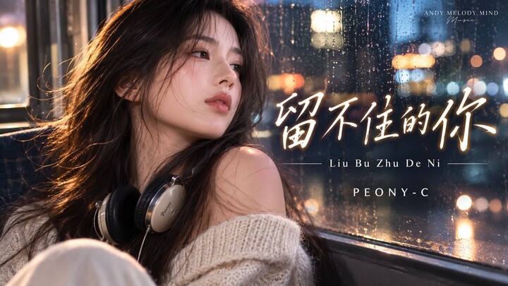 留不住的你 Liu Bu Zhu De Ni