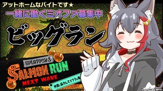 【スプラ３】初めてのリスナー参加型！ビッグランでタツ倒す？！【 ホロライブ / 大神ミオ 】