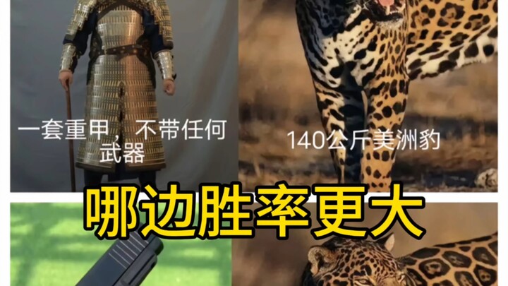 Trong trận đấu giữa giáp nặng và báo đốm, bên nào có tỷ lệ thắng cao hơn?