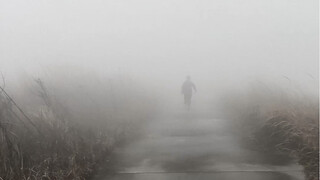 【Memoirs of the Fist】Fog