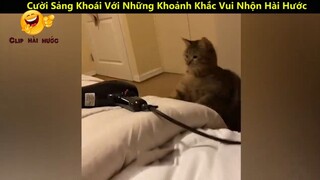 Cười Sảng Khoái Với Những Khoảnh Khắc Vui Nhộn Hài Hước Và Lầy Lội Nhất p21