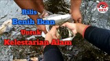 Menyisihkan Gaji Dari Youtube Buat Beli Benih Ikan Untuk Dirilis Kembali