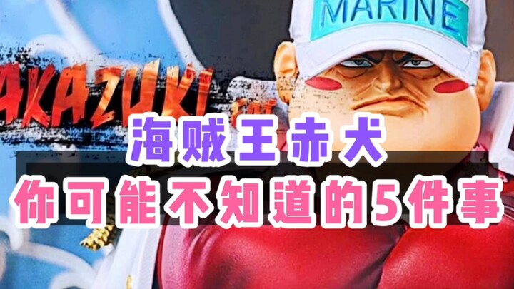 One Piece 5 Things You May Not Know About Akainu It turns out Akainu is very similar to Garp