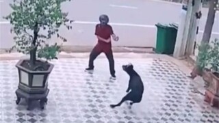 《超能力人类行为大赏6》