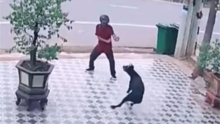 "Superhuman Behavior Awards 6"