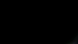 pp_2.04