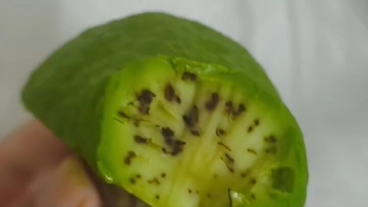 Đậu Bao ngốc nghếch quá nhỉ