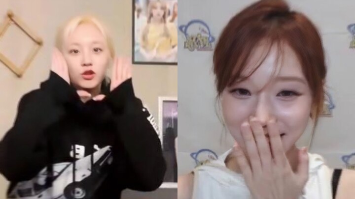 Black Mamba yang digigit, dengan lembut membuat Yujqi mati gaya di depan Dongdong (sebenarnya sebelu