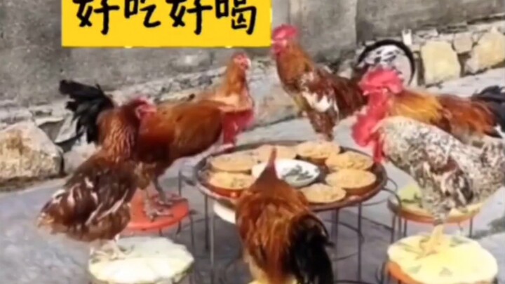 Kun Kun got married.