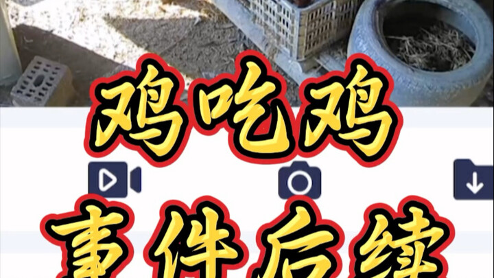 Vụ việc ăn gà: con gà trên trang cáp kèo đã bị tóm gọn, đang chờ sự trừng phạt của mọi người