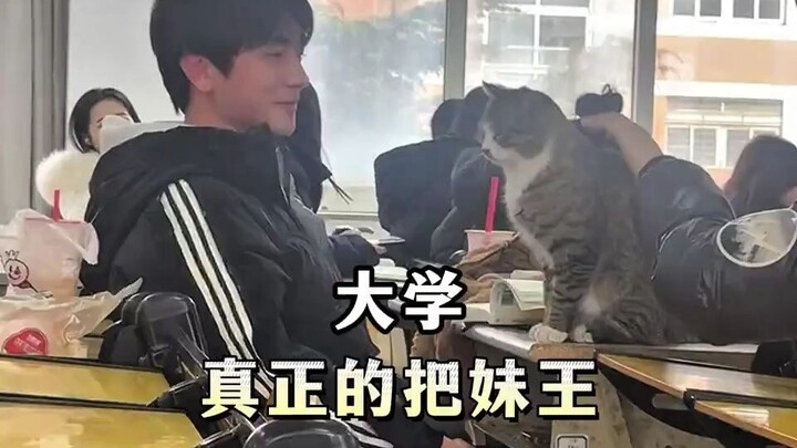 The real pick-up artist at school… of course, it’s the school’s cats!