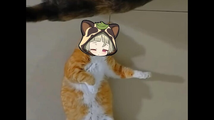 Teyvat ini sangat bermasalah #5