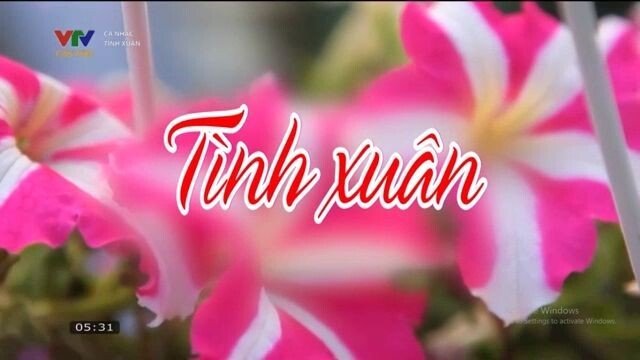 Ca nhạc : Tình xuân (VTV Cần Thơ - 20/02/2026)