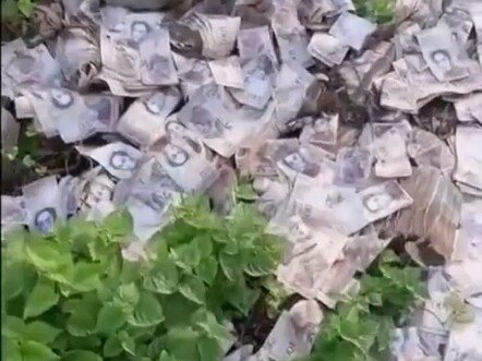 Some countries actually weigh their currency by the jin! Do you know which coin is the most valuable