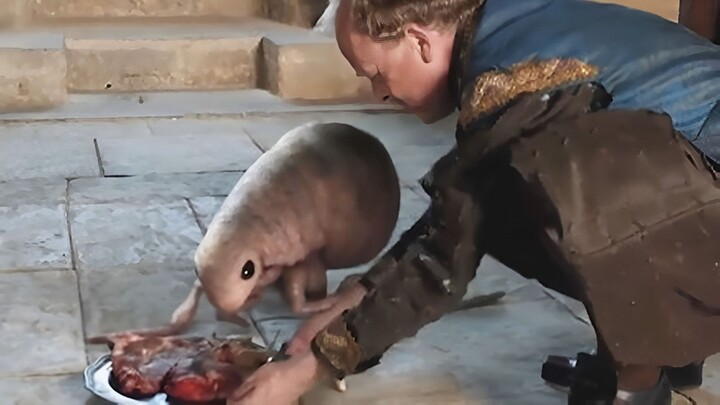 The king suddenly gets a crazy idea to raise fleas—but they’re too tiny, so he feeds them beef every