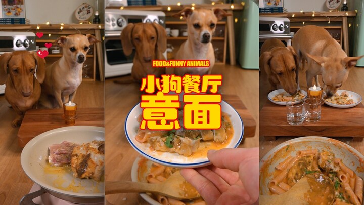 Today's special at Puppy Restaurant is: pasta 🍝