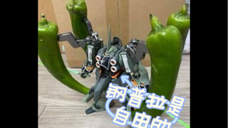 钢普拉是自由的，大家开心就好
