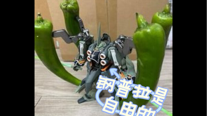 钢普拉是自由的，大家开心就好